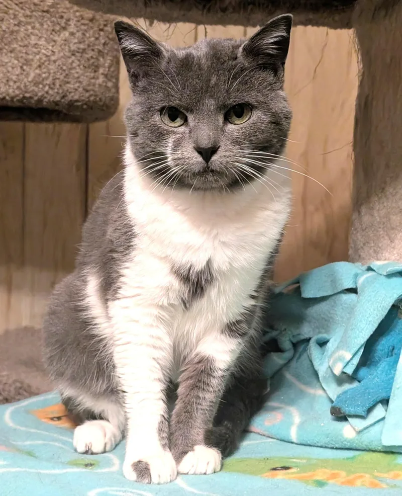 Nelson: Sweetie Pie! thumbnail 3