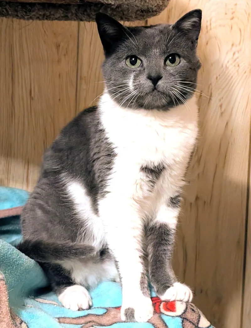 Nelson: Sweetie Pie! thumbnail 5