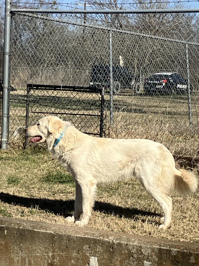 Snowsweet And Silly thumbnail 3