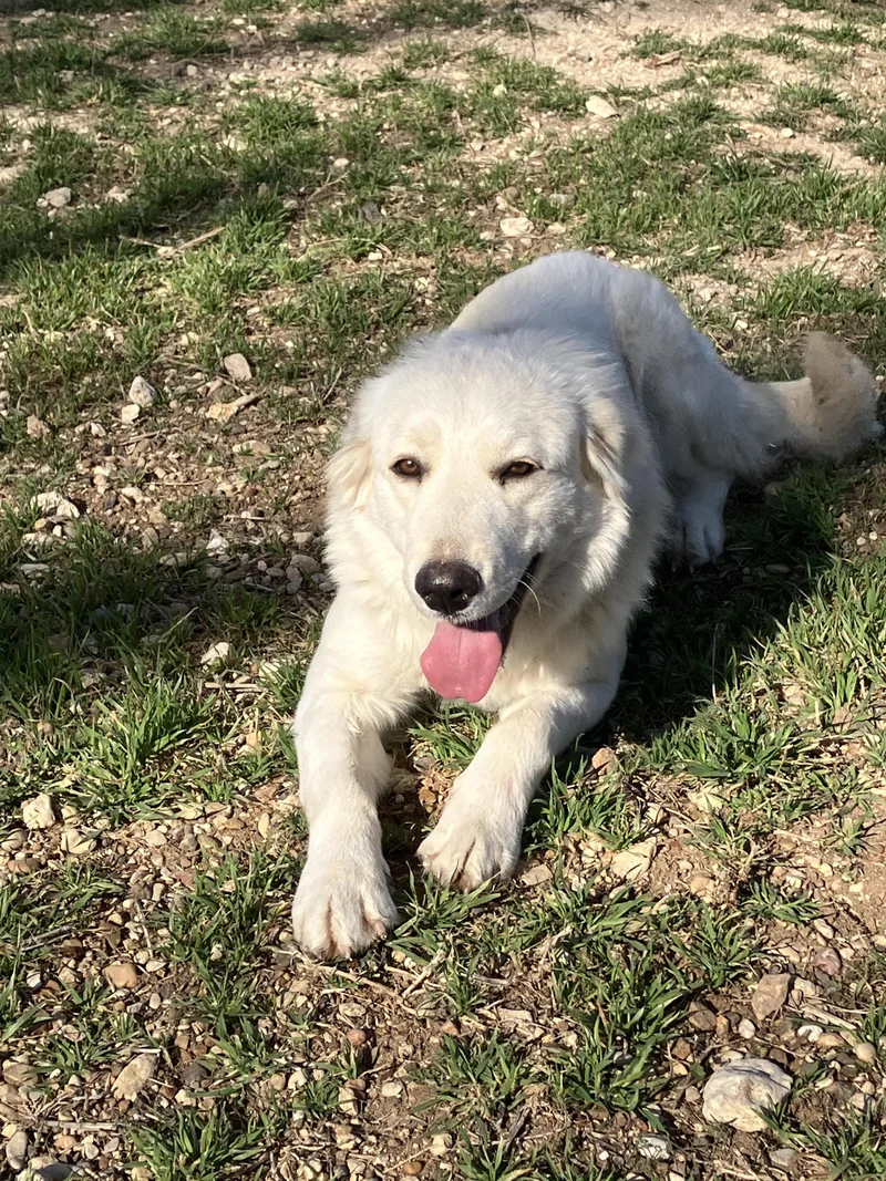 Snowsweet And Silly thumbnail 4