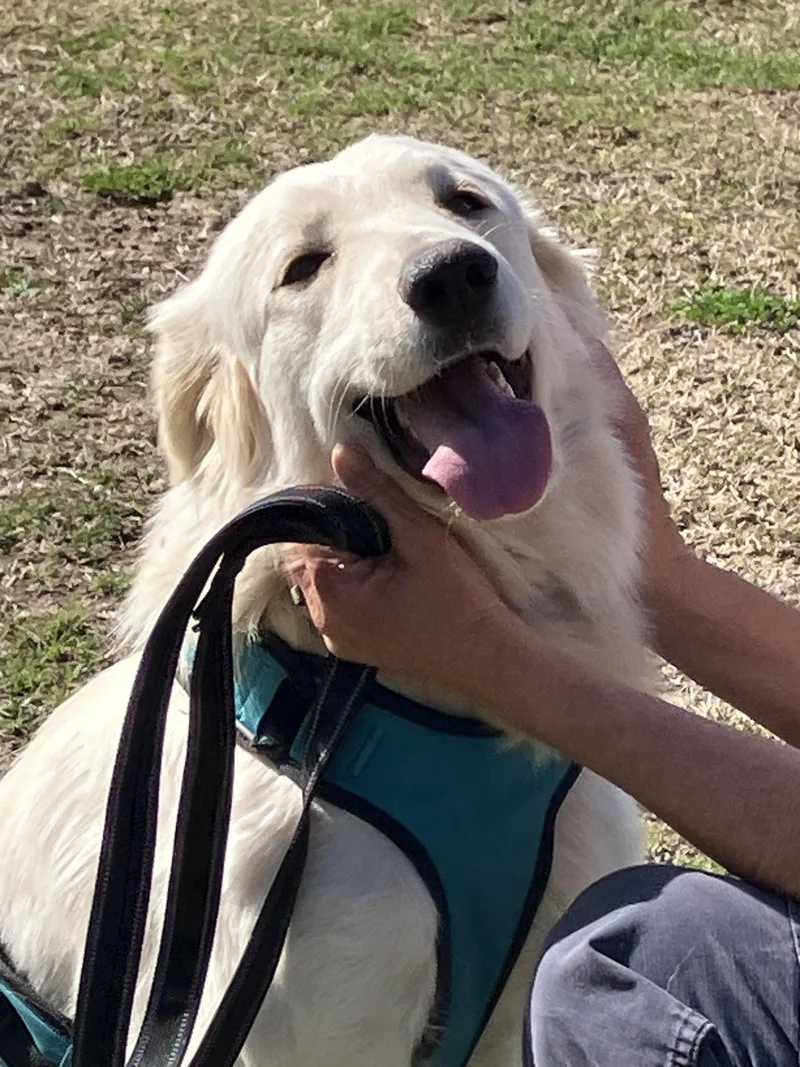 Snowsweet And Silly thumbnail 5