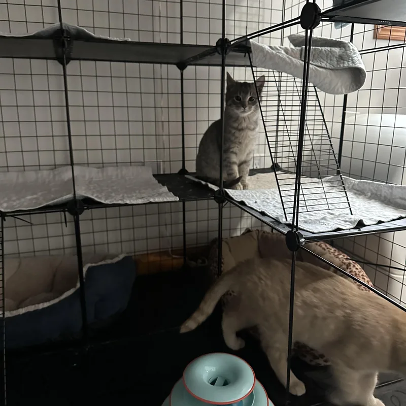 Little Dot thumbnail 4