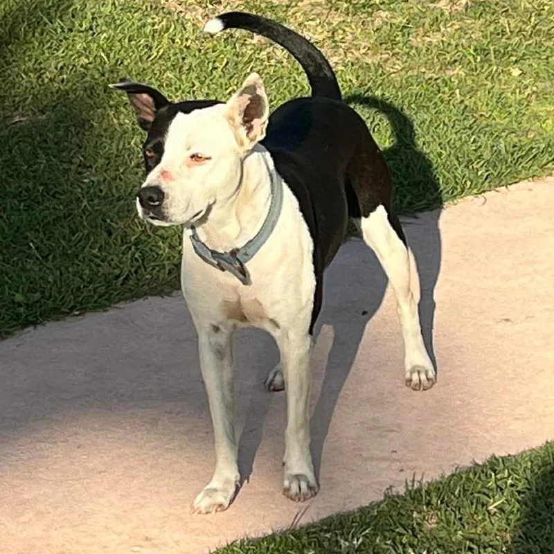 Catherine O'hara thumbnail 2