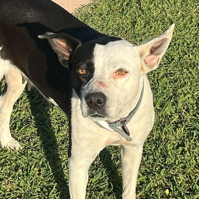 Catherine O'hara thumbnail 3