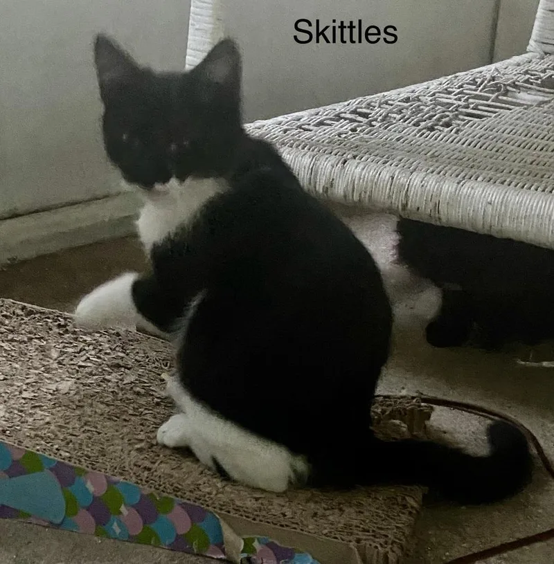Skittles