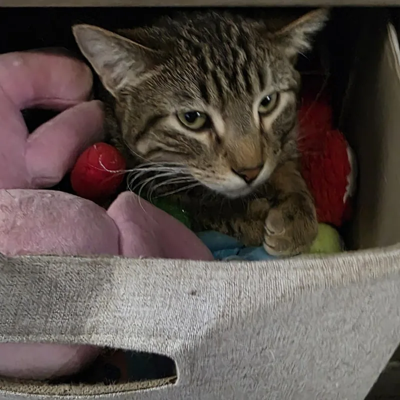 Lucky Day thumbnail 2