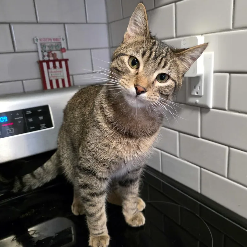 Lucky Day thumbnail 3