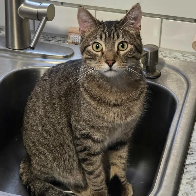 Lucky Day thumbnail 4