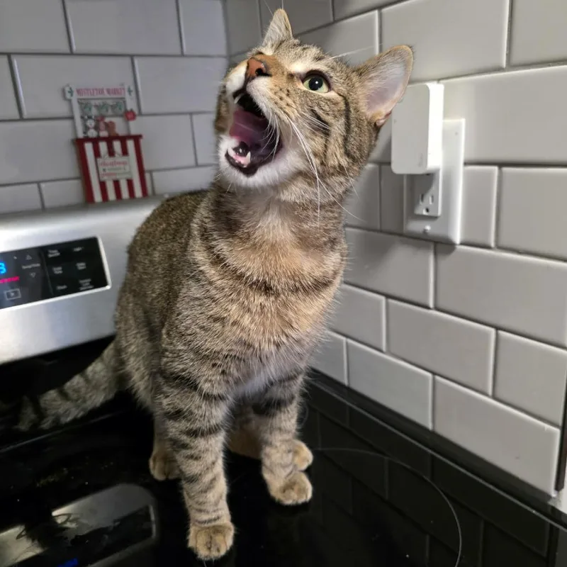 Lucky Day thumbnail 5