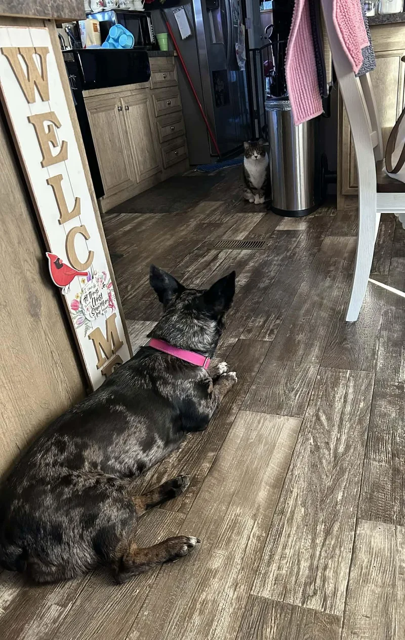 Eden Cutest Wiggly Butt! thumbnail 3