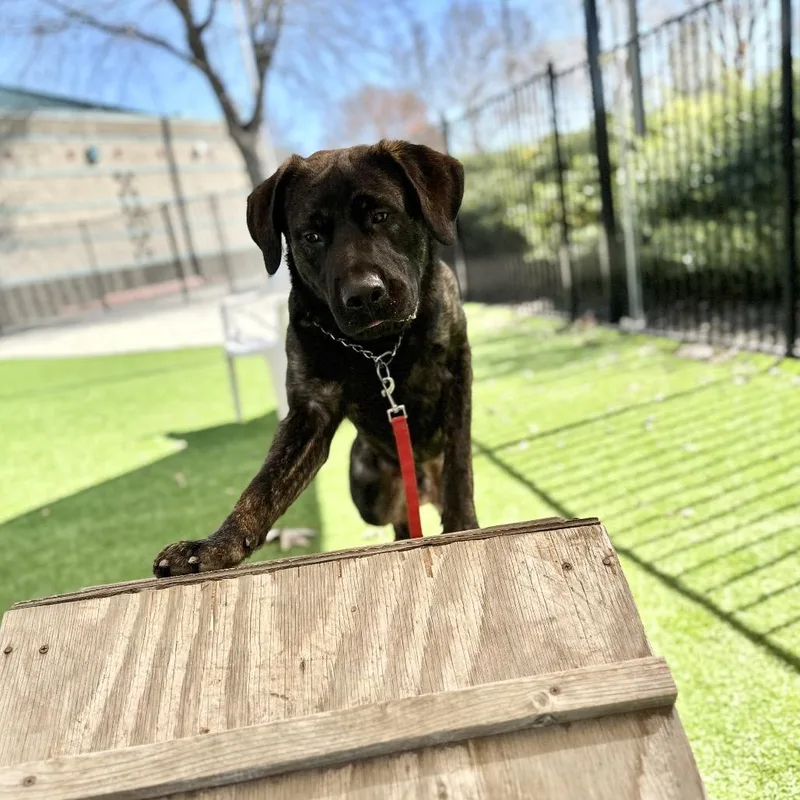 Finley  Ecas thumbnail 2