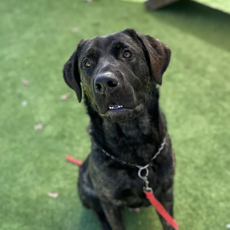 Finley  Ecas thumbnail 5