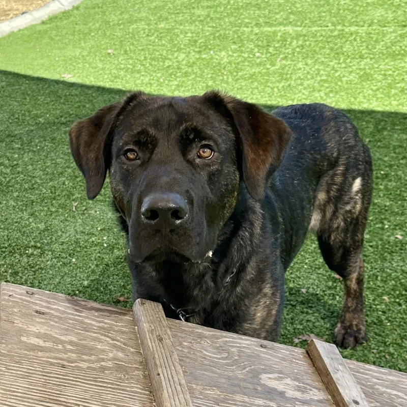 Finley  Ecas thumbnail 6