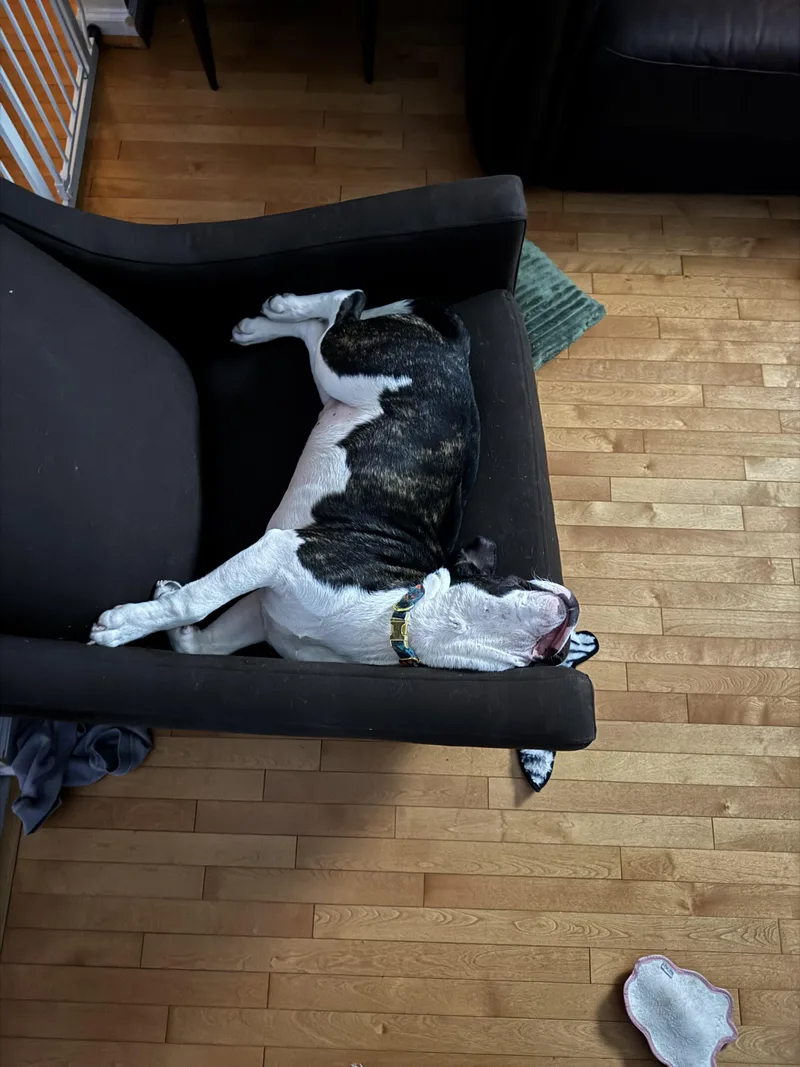 Denny Milo thumbnail 2