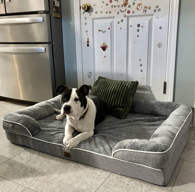 Denny Milo thumbnail 4