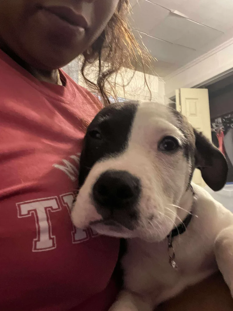 Denny Milo thumbnail 5