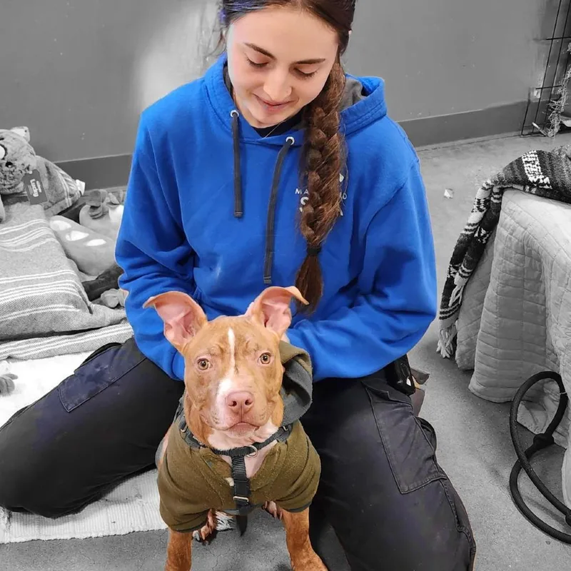 Whippersnapper thumbnail 6