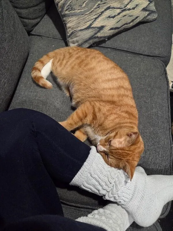 Carmella thumbnail 4