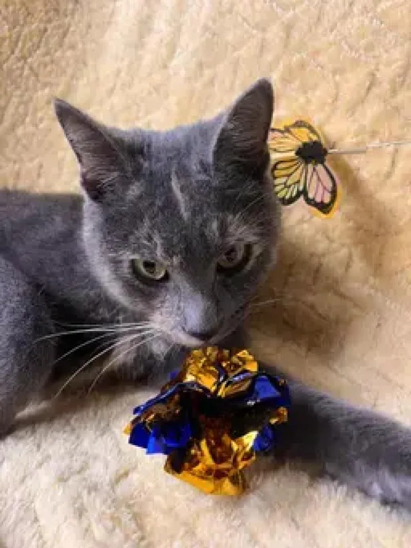 Courtney thumbnail 3