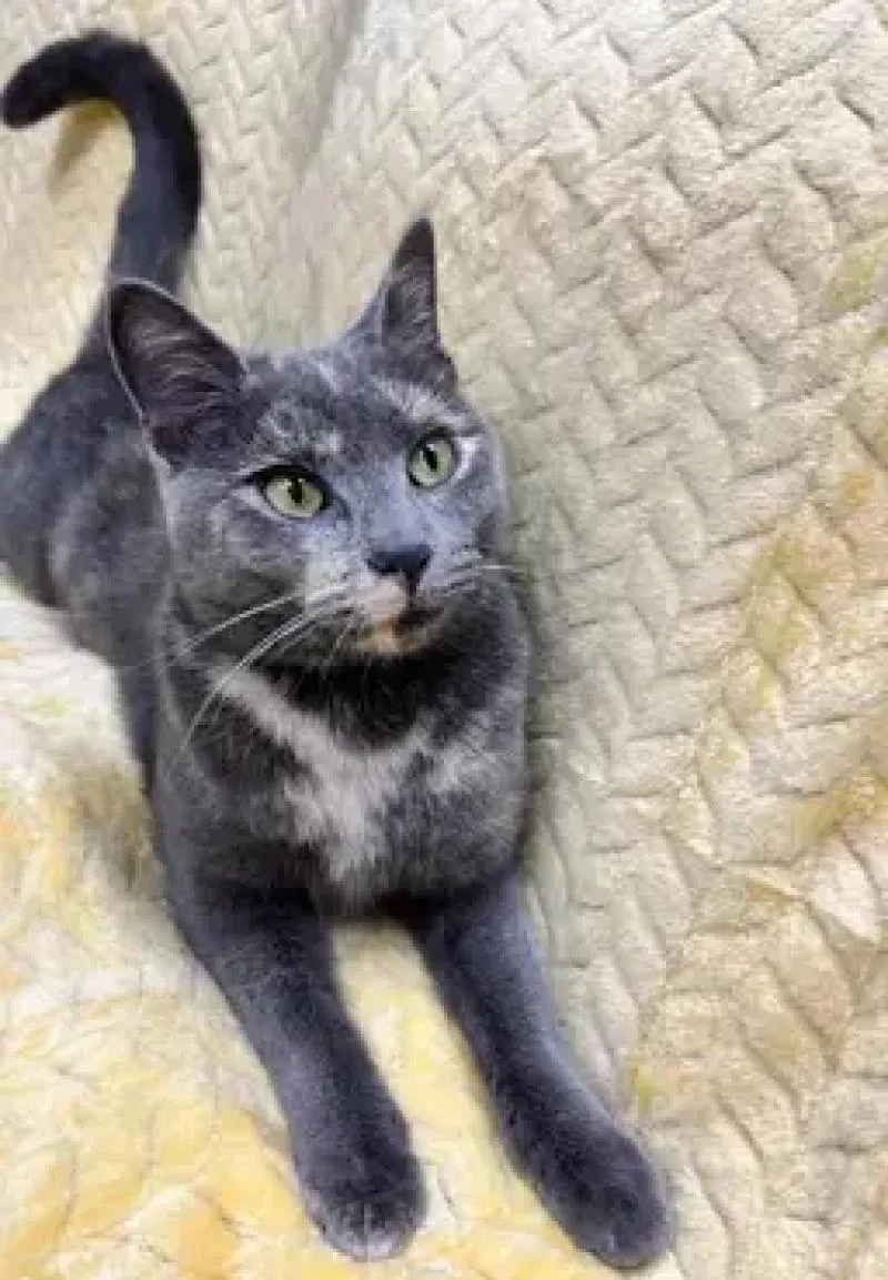 Courtney thumbnail 4