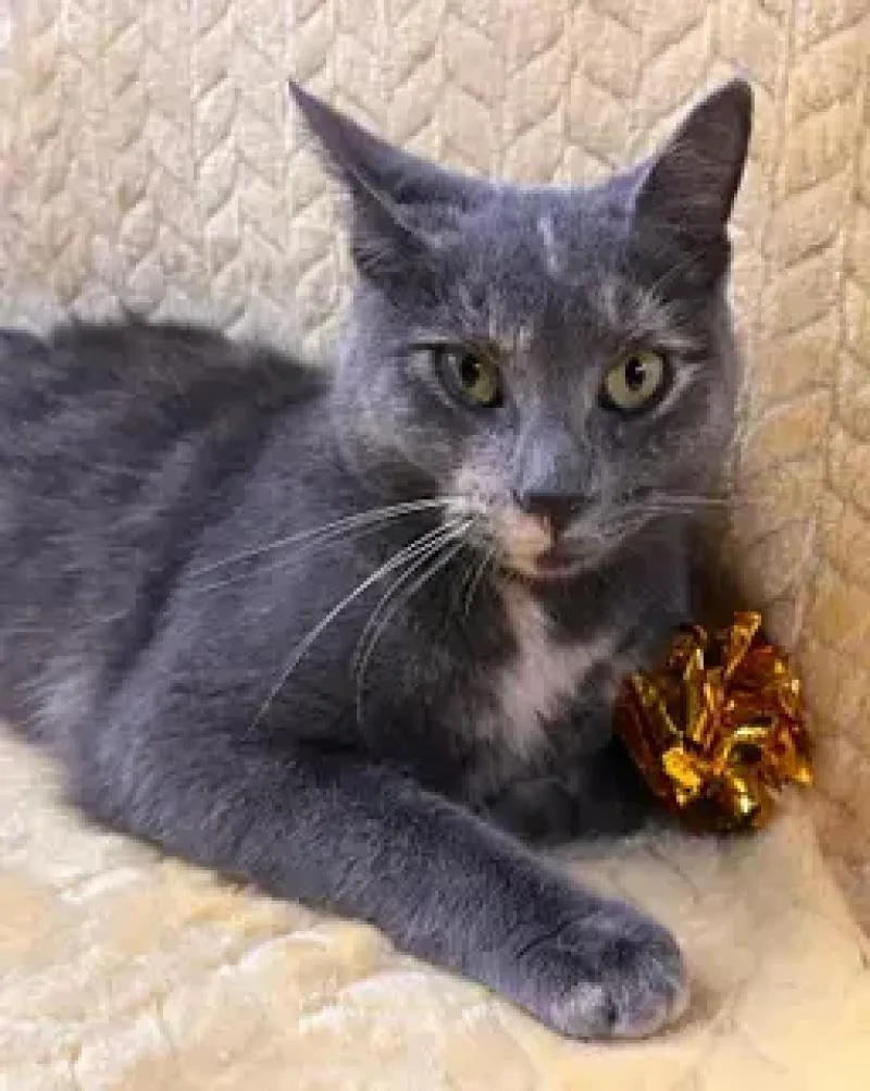 Courtney thumbnail 5