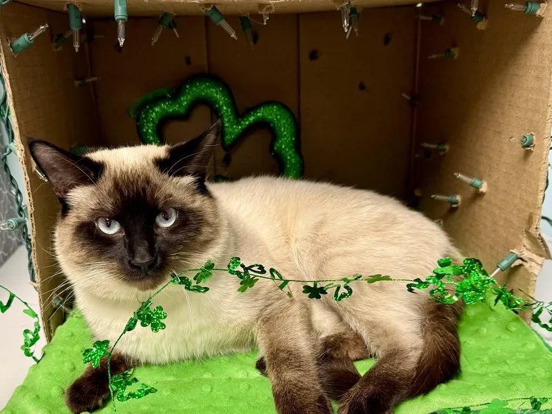 Taz  Affectionate And thumbnail 2