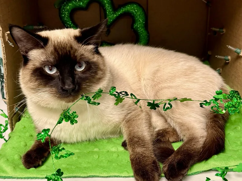 Taz  Affectionate And thumbnail 3