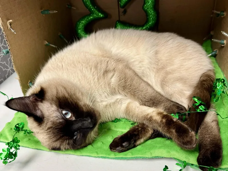 Taz  Affectionate And thumbnail 5