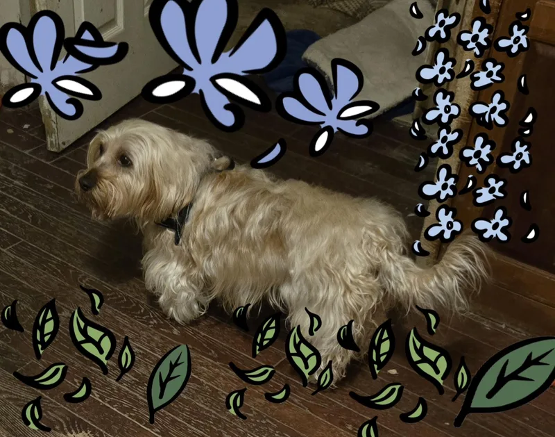 Goldilocks thumbnail 2