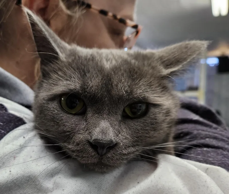 Luv Bug & Sweetheart