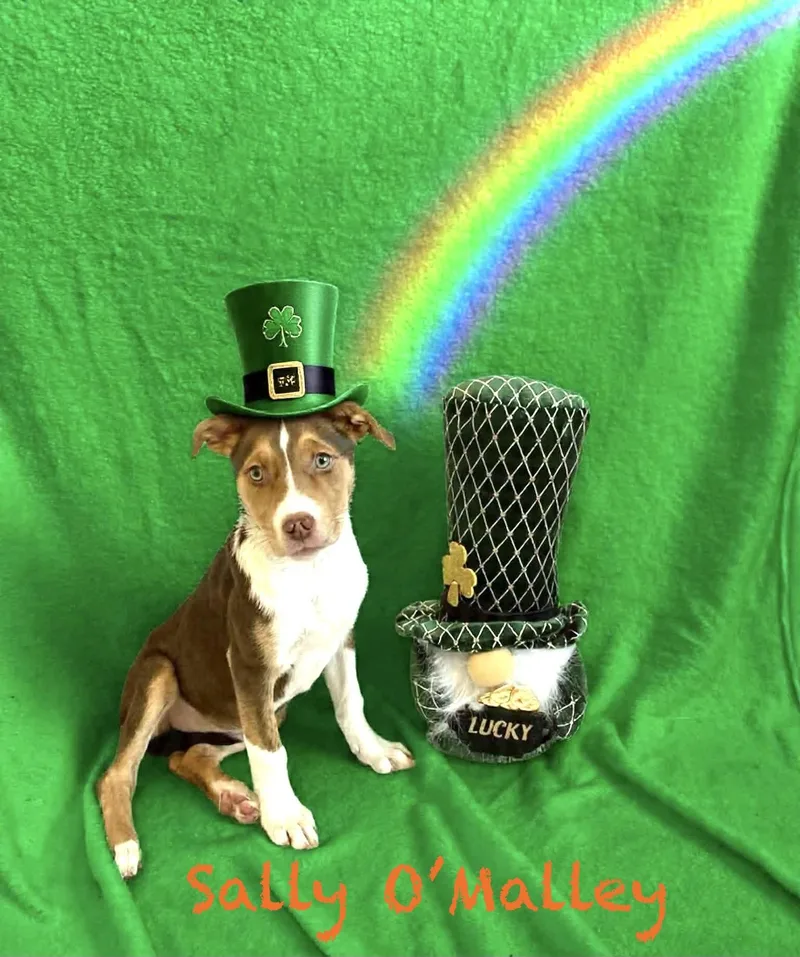 Sally O’malley thumbnail 4