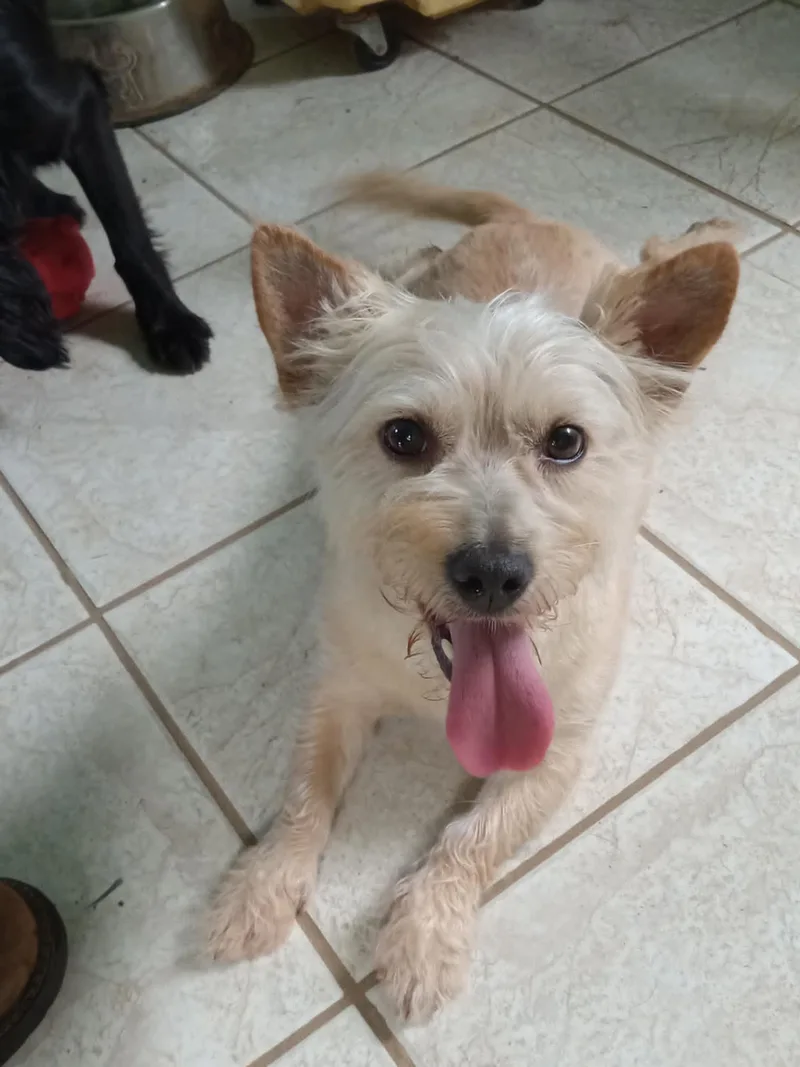 Teddy Fka Trooper thumbnail 2