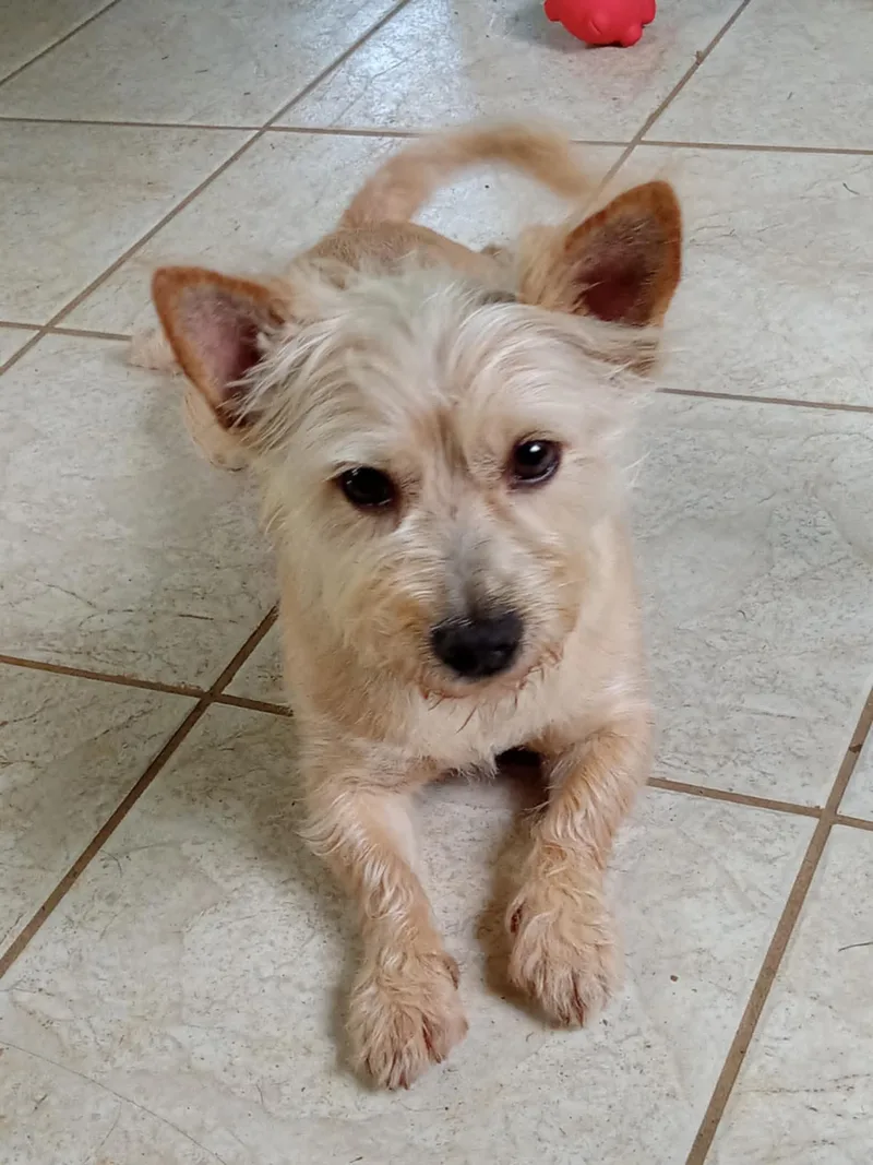 Teddy Fka Trooper thumbnail 3