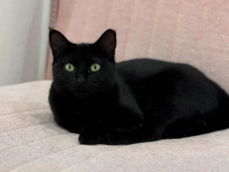 Lucy Loo thumbnail 2