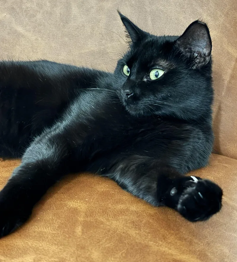 Lucy Loo thumbnail 3