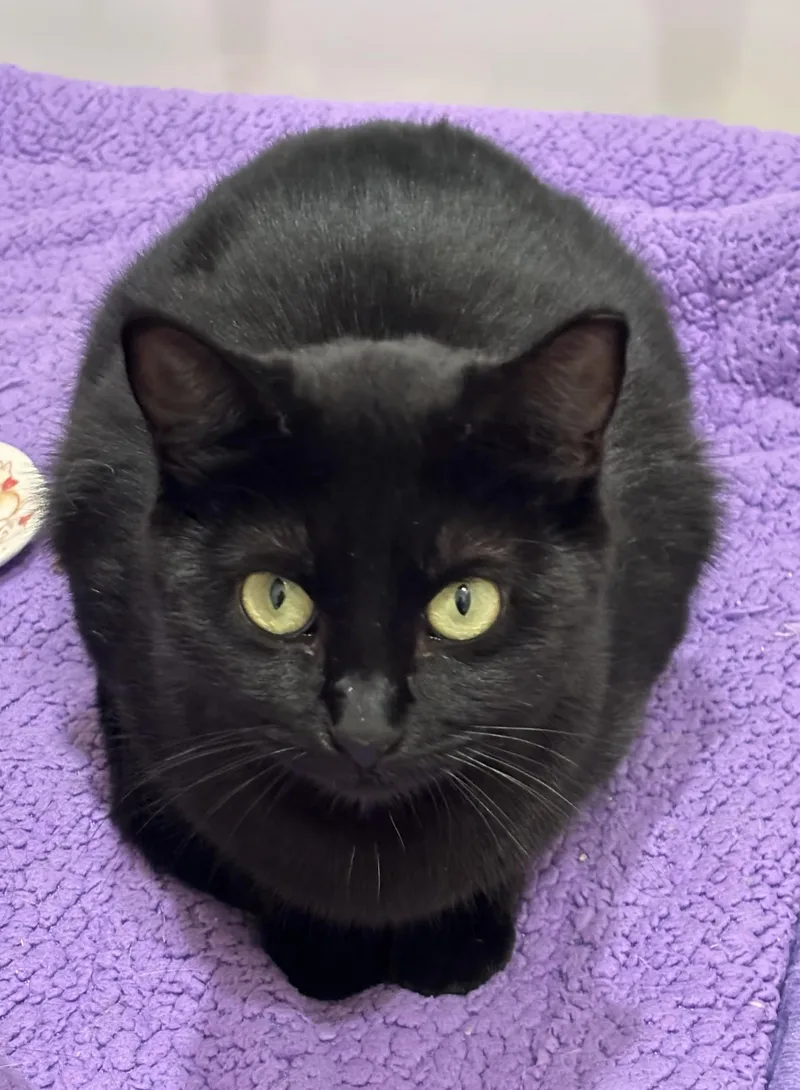 Lucy Loo thumbnail 4