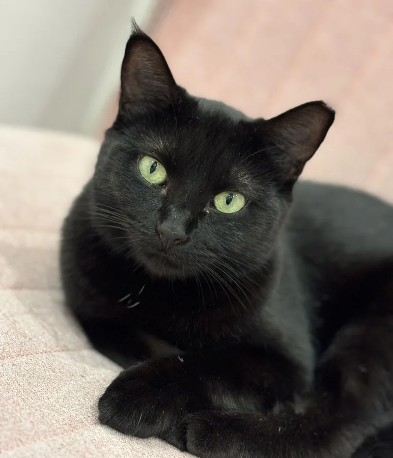 Lucy Loo thumbnail 5