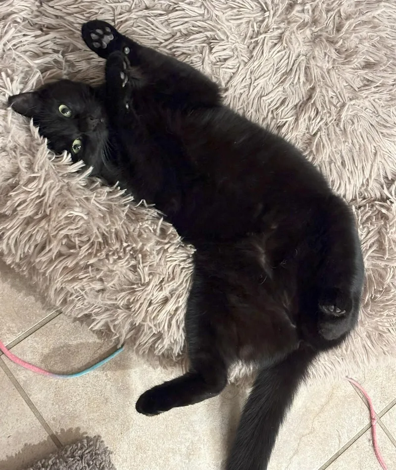 Lucy Loo thumbnail 6