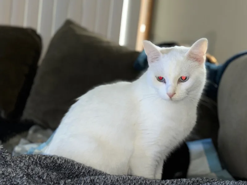 Xander thumbnail 2