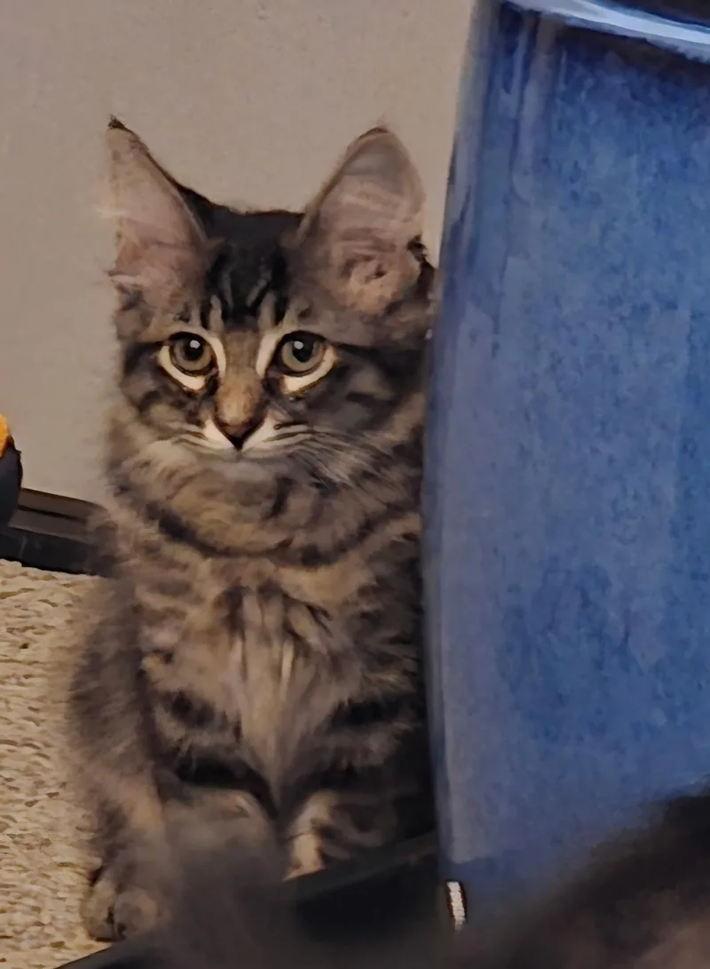 Ricky thumbnail 2
