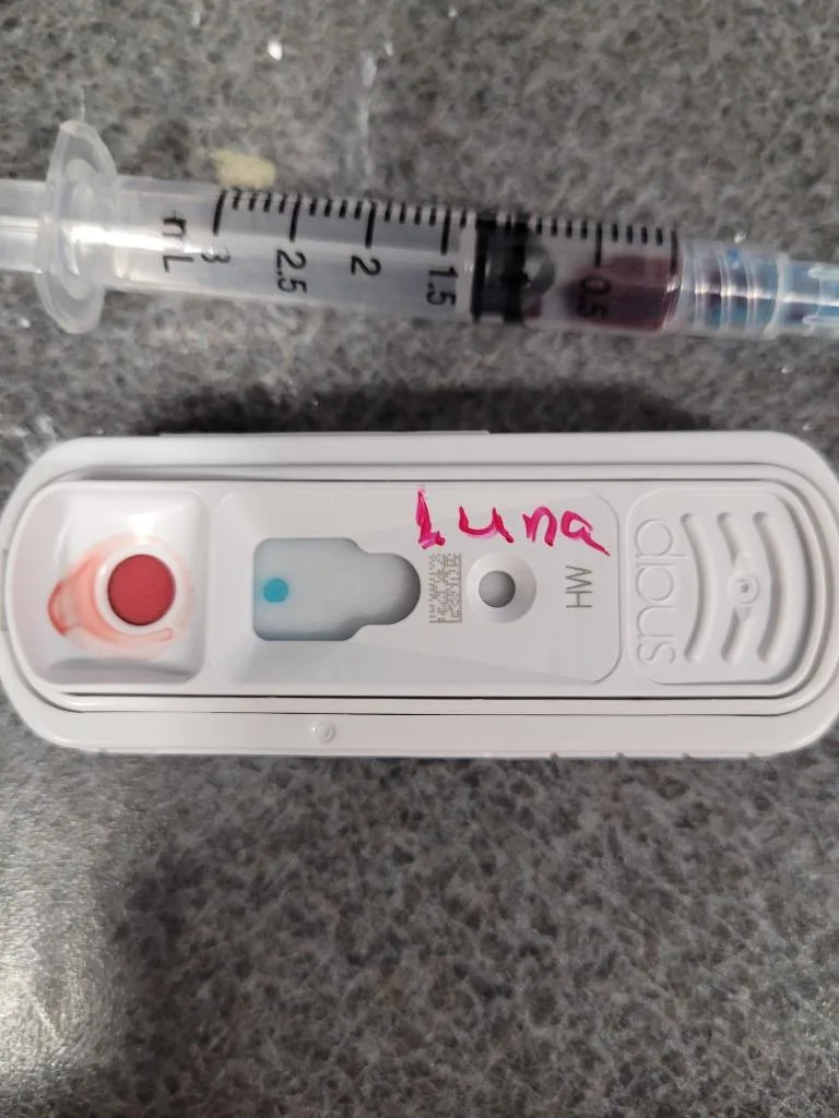 Lunashadow thumbnail 2