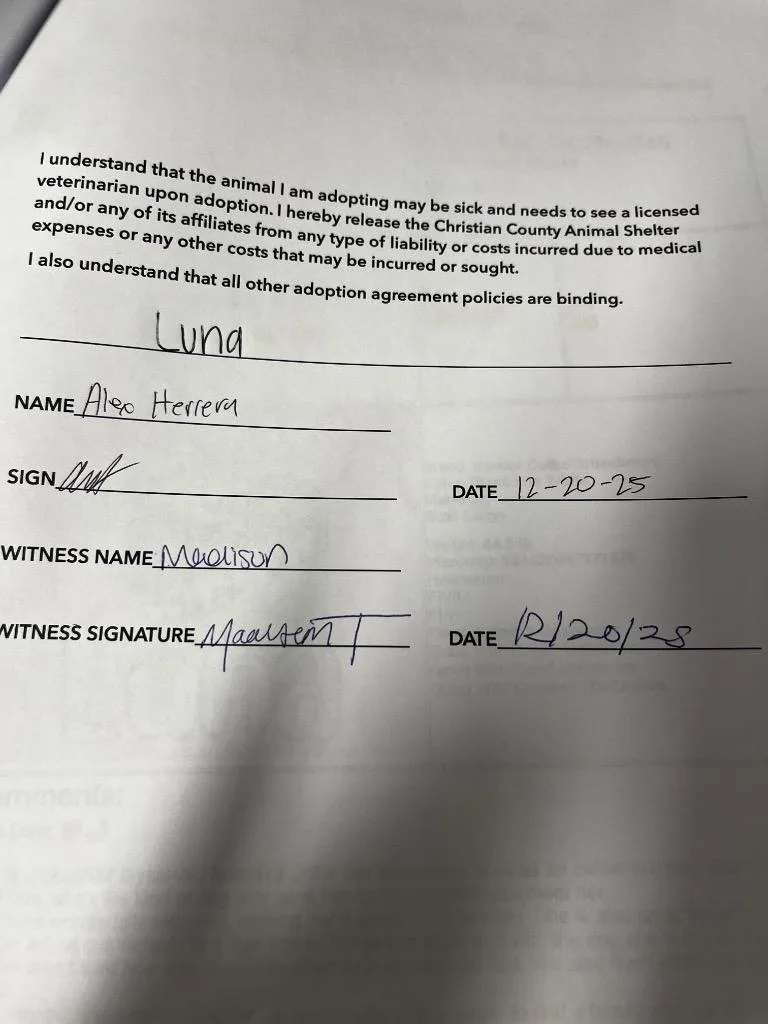 Lunashadow thumbnail 3