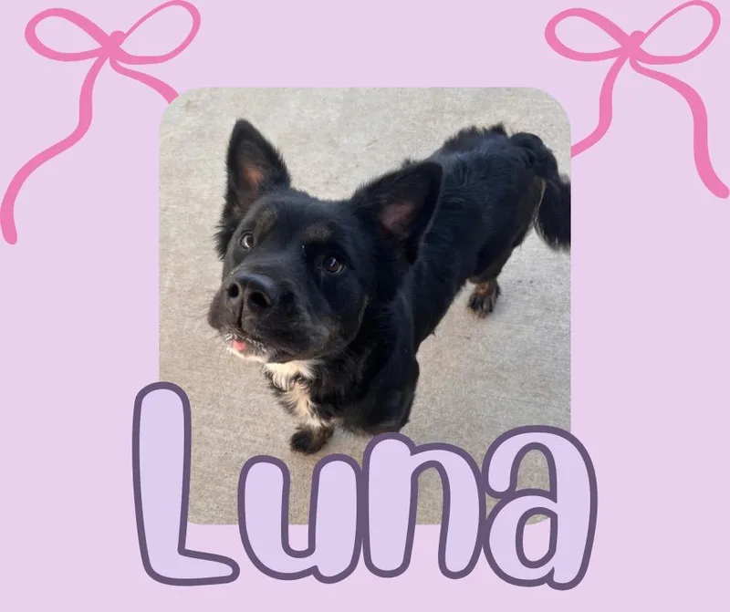 Lunashadow thumbnail 4