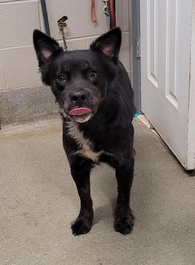 Lunashadow thumbnail 5