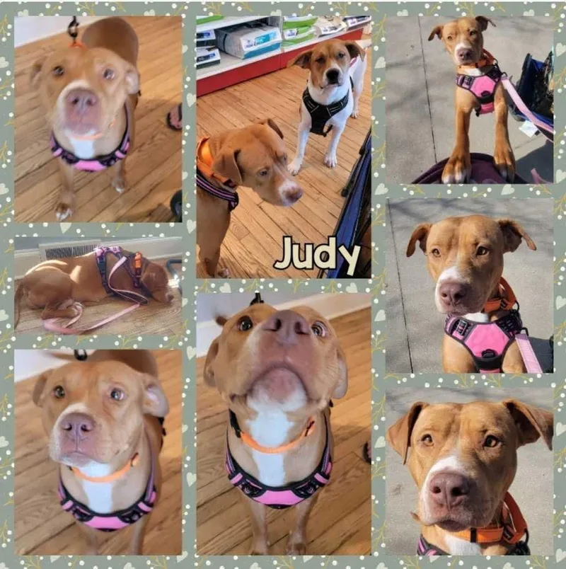 Mama Judy thumbnail 3