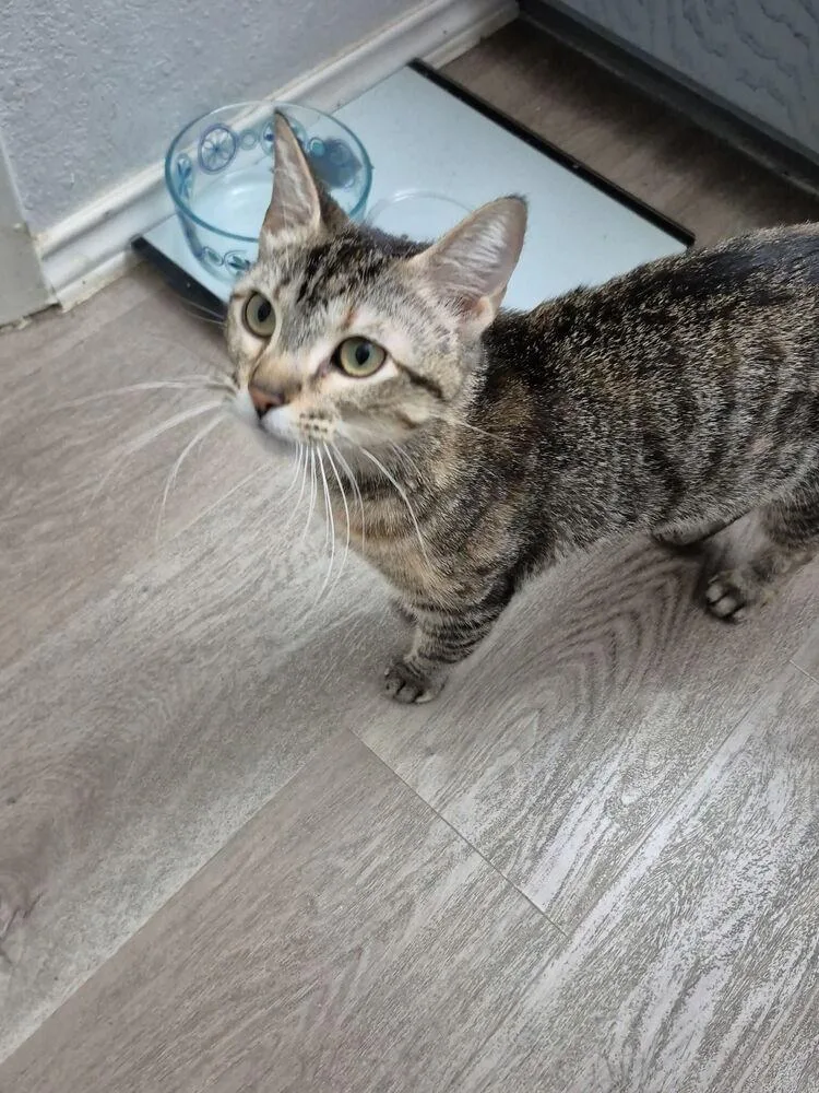 Rosie Riveter thumbnail 2