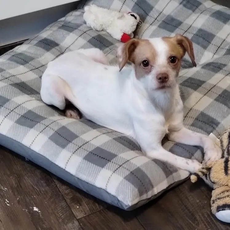 Rosaleen thumbnail 2