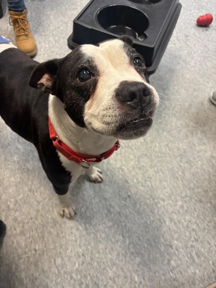 Chrysler thumbnail 3