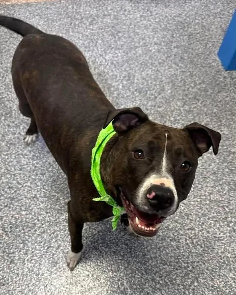 Betty Aka Chrissy thumbnail 2