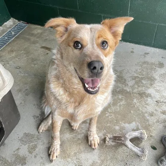 Big Booty Judy thumbnail 2